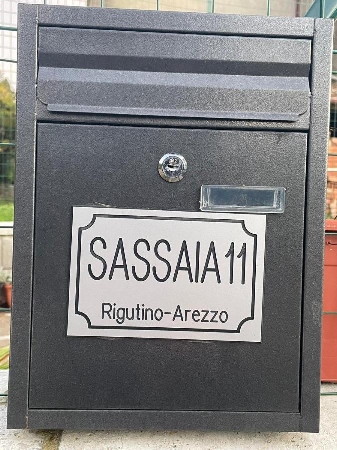 Sassaia11 *